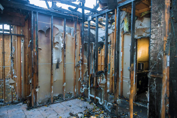 Professional Fire Damage Repair technician working in Bolivar, OH